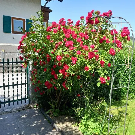 Apartman Lovely Rita,