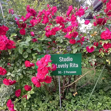 Lovely Rita, *